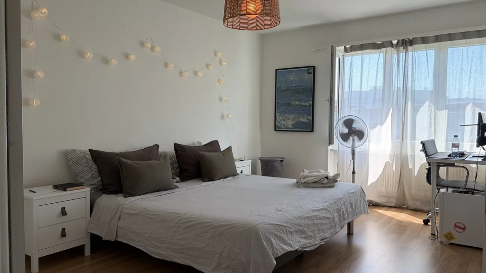 Bright 2 Room Top-Floor Apartment with Balcony in Dübendorf
