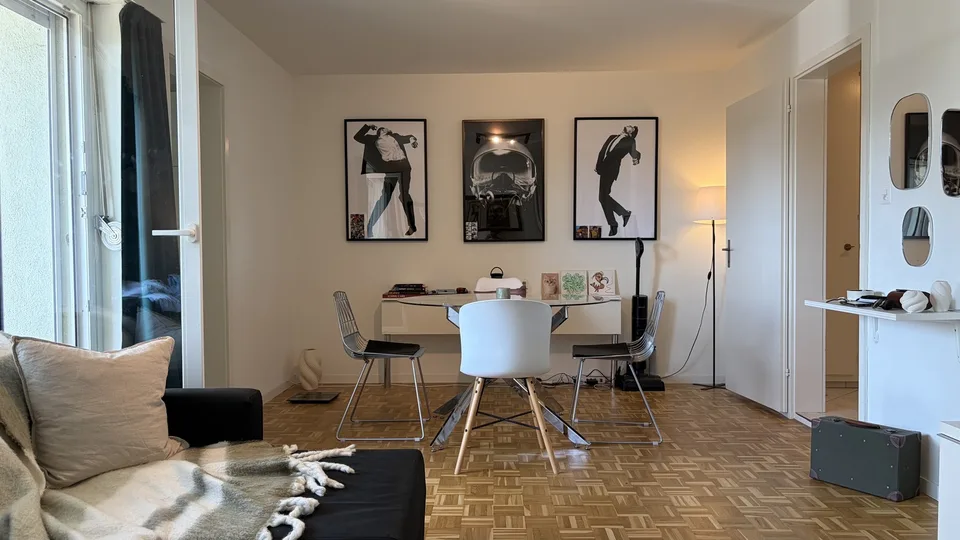 Bright 2 Room Top-Floor Apartment with Balcony in Dübendorf