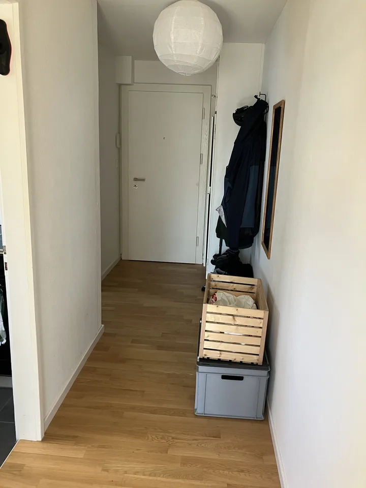2-3 Month Sublet: 1-room apartment furnished, per 01.10.2026