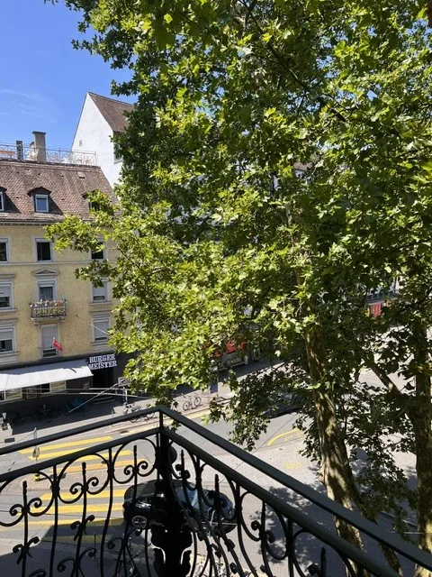 Nachmieter gesucht: Charmante 3.5-Zimmer-Wohnung am Limmatplatz