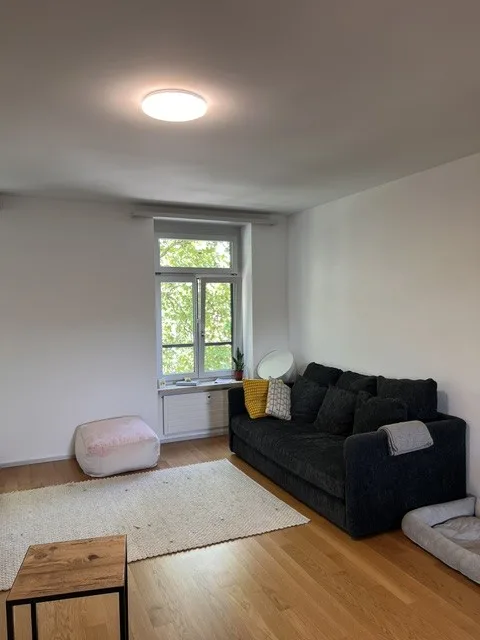 Nachmieter gesucht: Charmante 3.5-Zimmer-Wohnung am Limmatplatz