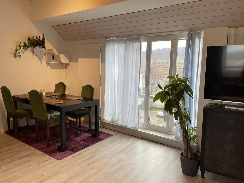 grosse und schöne Dachgeschosswohnung