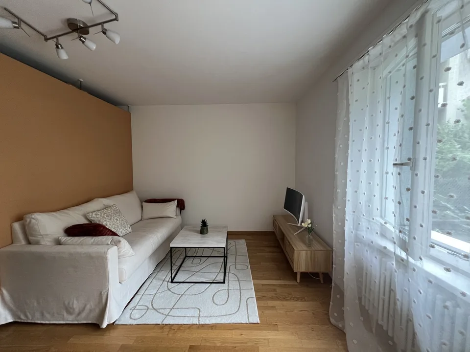 Charming 1.5-Room appartment with Large Terrace in Zurich Oerlikon