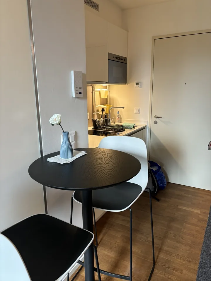 Wohnung am Puls von Zürich! - mieten ohne Kaution – foto 14 di 17