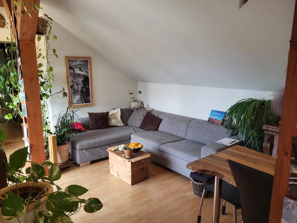 BEFRISTETE Einlegerwohnung in einer WG (06.09.26 - 03.10.26)