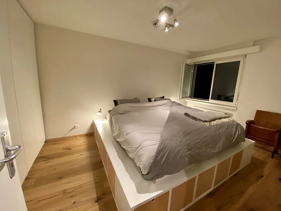 kleine, schöne und möblierte Wohnung in Wipkingen