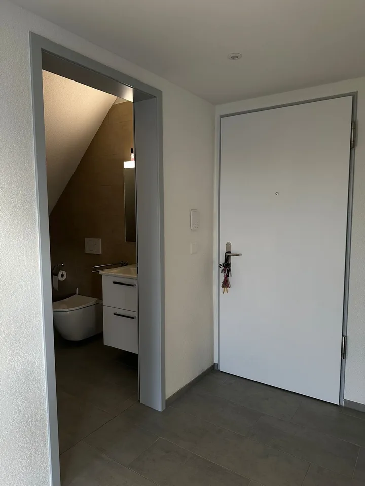 Moderne 1 ZWG nahe ETH & Uni Irchel – ideal für StudentInnen und DoktorandInnen – Foto 19 von 20