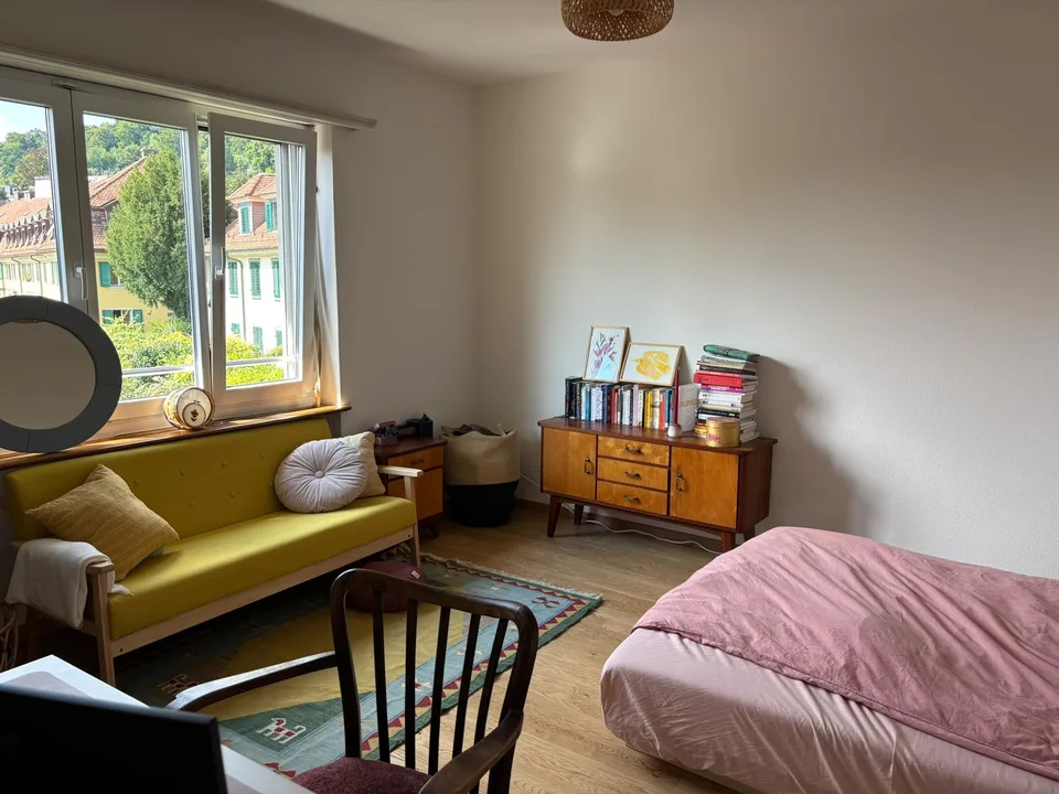 Wohnung nahe der Limmat (November-Dezember 2026)