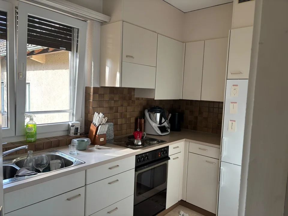 Wohnung nahe der Limmat (November-Dezember 2026)