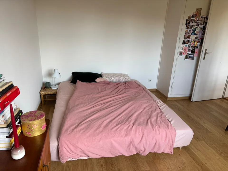 Wohnung nahe der Limmat (November-Dezember 2026)