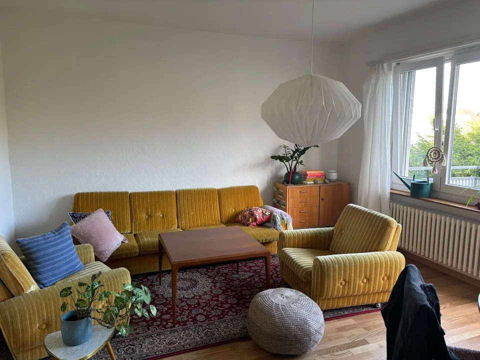 Wohnung nahe der Limmat (November-Dezember 2026)