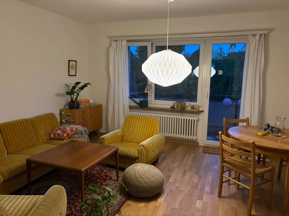 Wohnung nahe der Limmat (November-Dezember 2026)