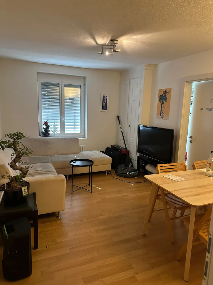 Room in Zurich (Central) with two amazing room mates! Leon (from Boston) and Gerardo (from the Amalfi Coast). From July onwards!