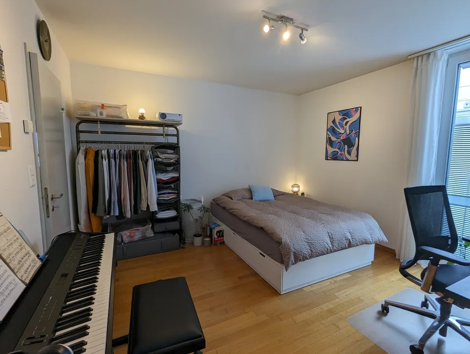 Room for the Zürich Summer