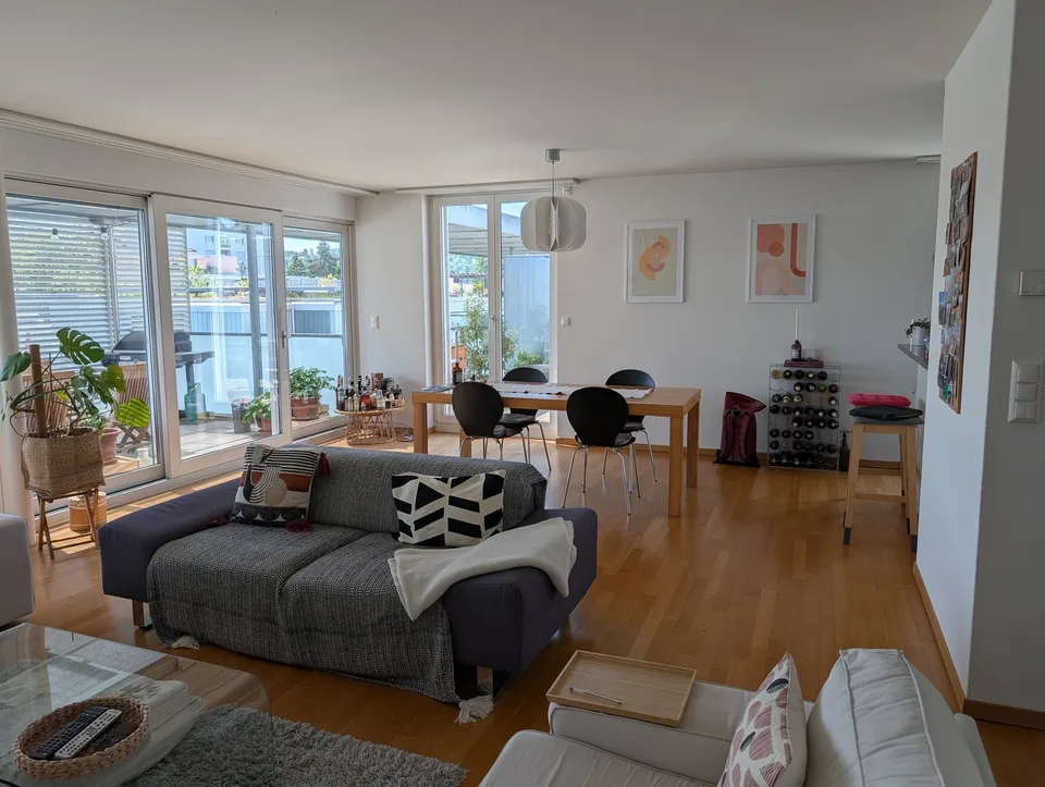 Room for the Zürich Summer