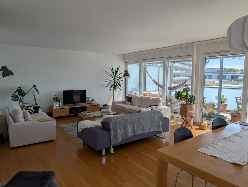 Room for the Zürich Summer
