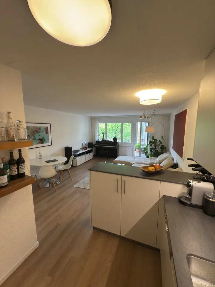 Apartment only from MONDAY - FRIDAY available - WOCHENAUFENTHALTER WOHNUNG (MO - FR): Moderne 2-Z-Wohnung mit Balkon im Kreis 5 (Zürich)