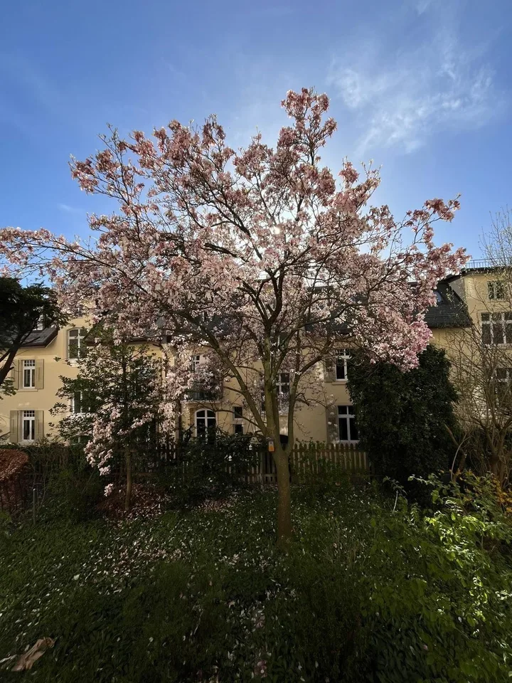 Cozy & Quiet Garden Oasis in Central Zürich