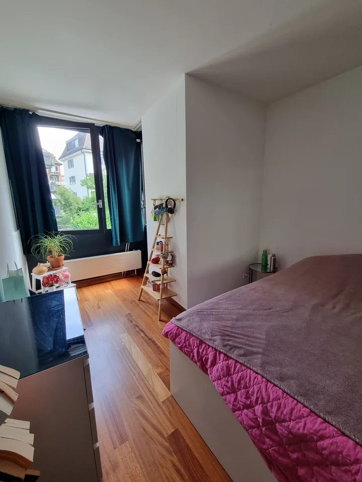 Cozy room in Wipkingen
