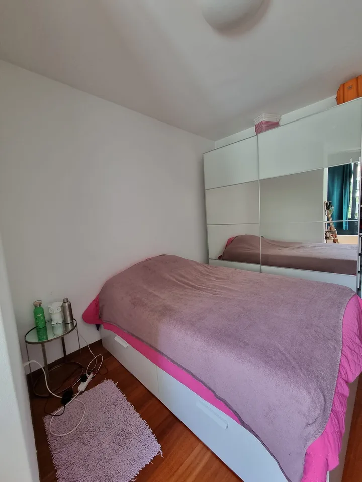 Cozy room in Wipkingen