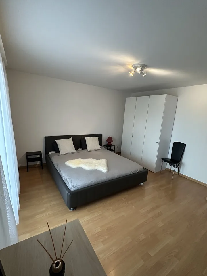 Fully furnished 2.5-room apartment in Zurich