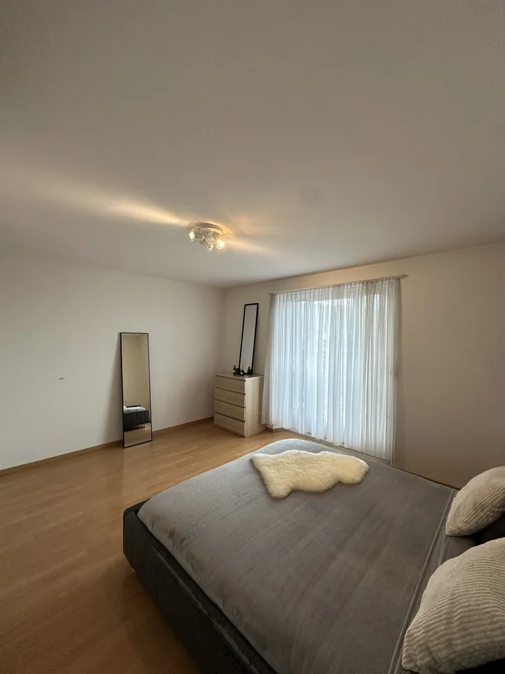 Fully furnished 2.5-room apartment in Zurich