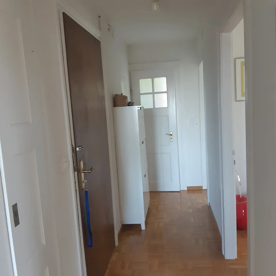 Charmante Wohnung an der Scheuchzerstrasse in Zürich