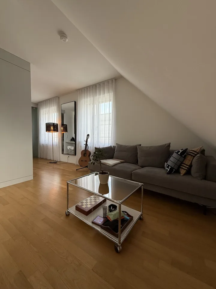 AUGUST 2026 Luxury Apartment incl. private Rooftop in Zurich Wiedikon