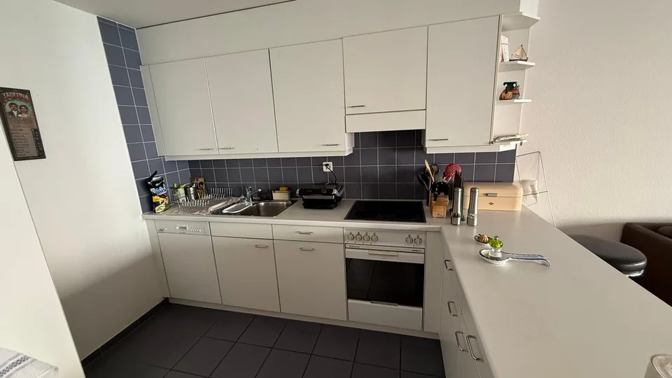 Spacious and newly renovated 3.5 rooms flat (Stauffacher)