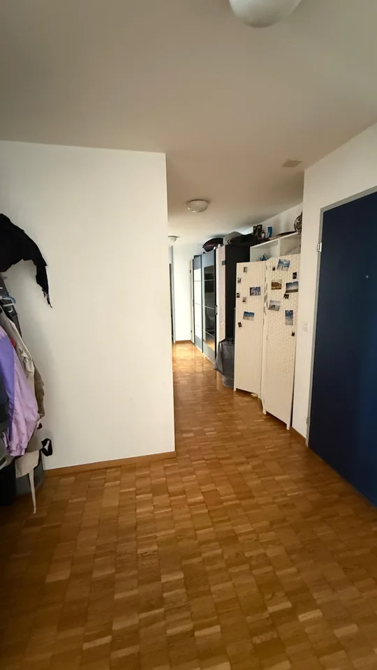 Spacious and newly renovated 3.5 rooms flat (Stauffacher)