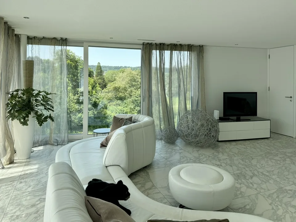 Luxus-Attika-Wohnung mit atemberaubender Aussicht
