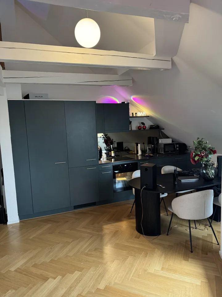 Maisonetten Wohnung in Zürich