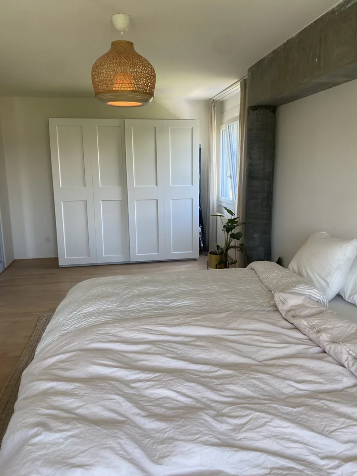 Rent a 4 1/2 room appartement in Uster