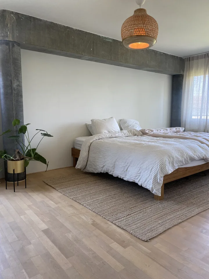 Rent a 4 1/2 room appartement in Uster