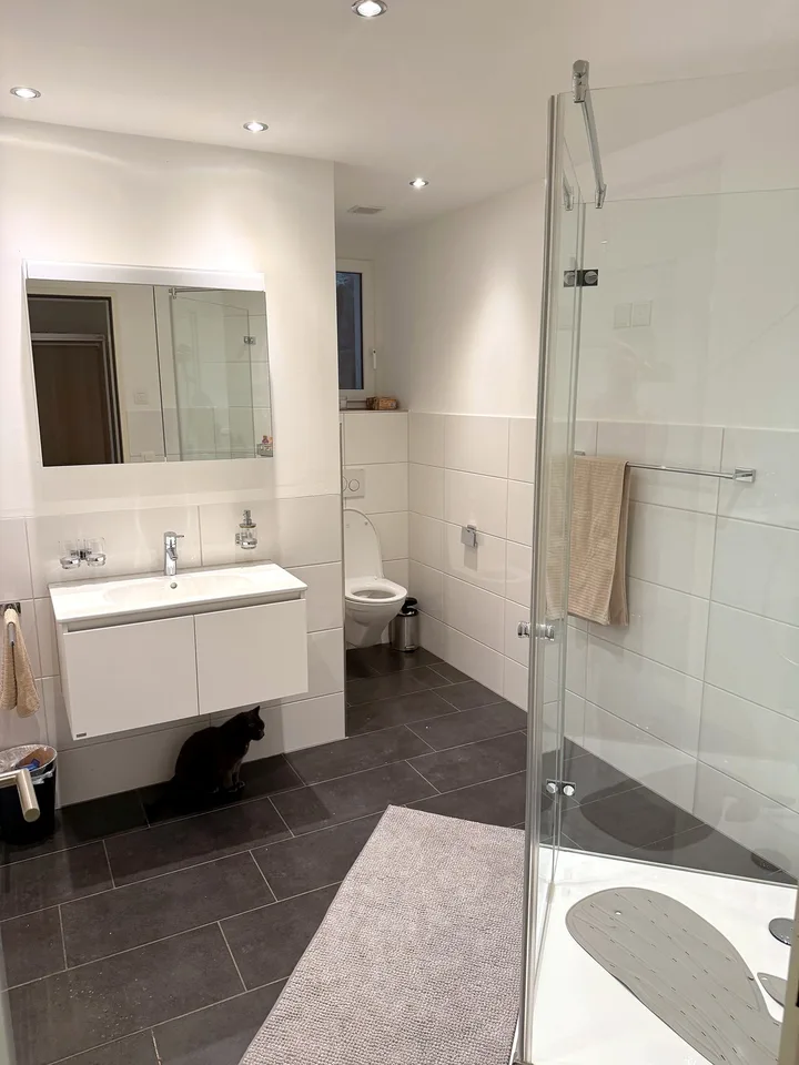 Greifensee private Room on own floor + DU/WC + parking