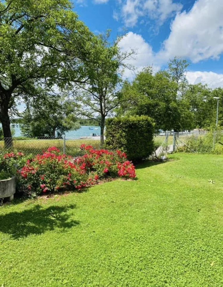 Apartment in villa by the lake in Pfäffikon ZH incl. cleaner