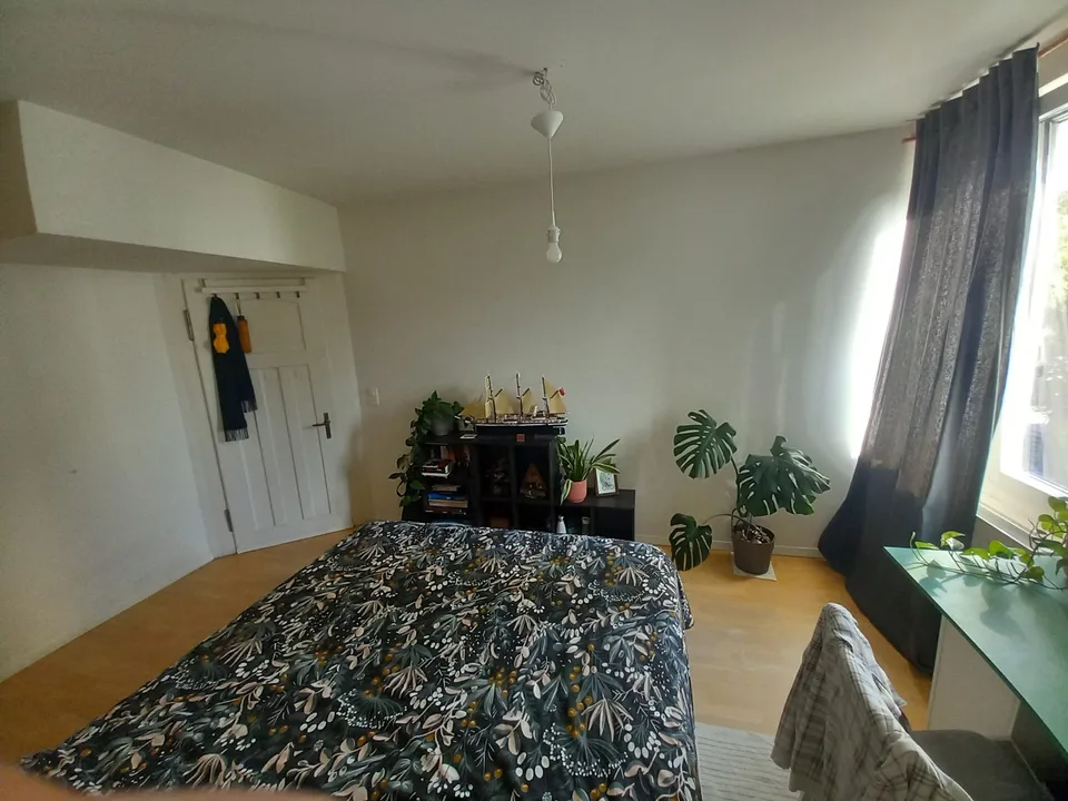Bright Room in a Shared Flat with Lake Views in Wollishofen, Zürich