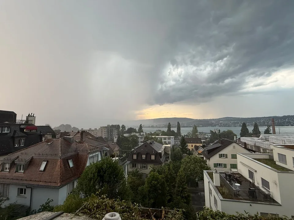 Bright Room in a Shared Flat with Lake Views in Wollishofen, Zürich