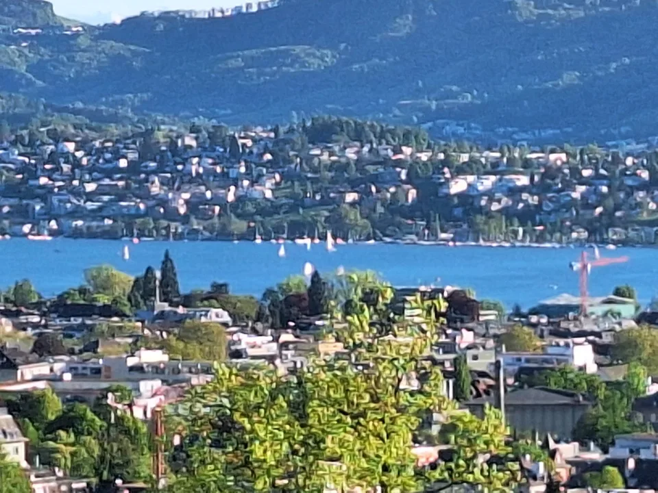 4-Zimmer-Wohnung in historischer Villa mit See- und Bergsicht