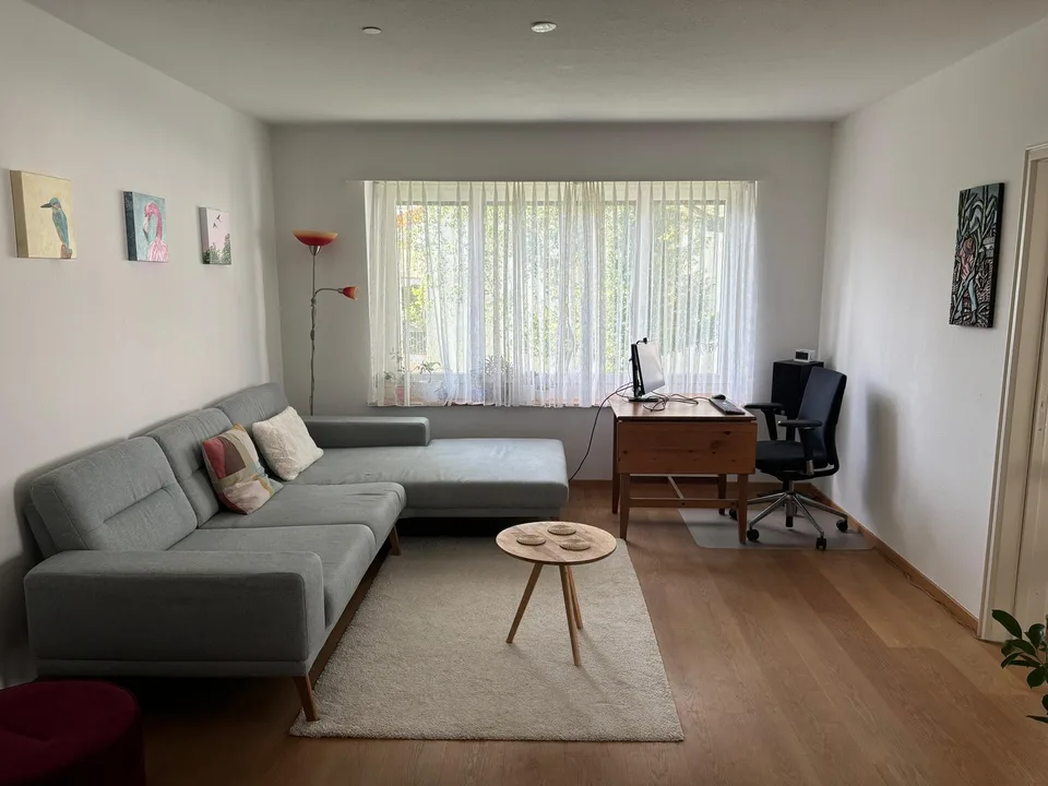 Bright Apartment in Zurich Wollishofen, as of mid-AUG