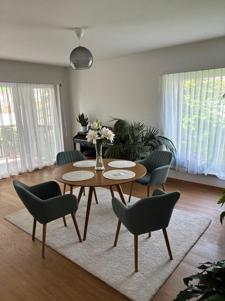 Bright Apartment in Zurich Wollishofen, as of mid-AUG