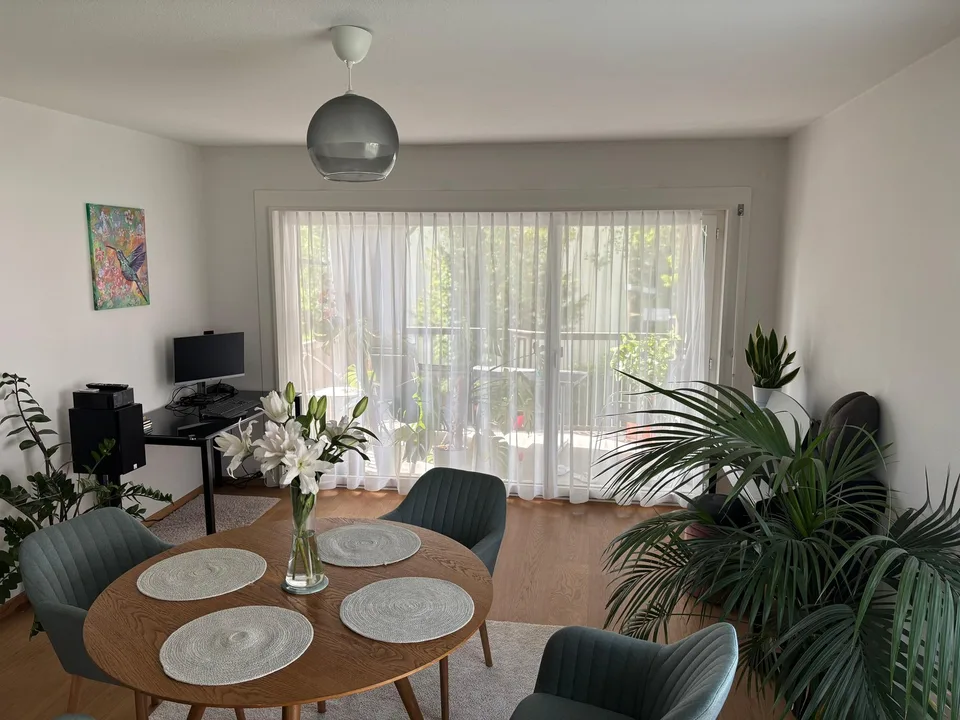 Bright Apartment in Zurich Wollishofen, as of mid-AUG