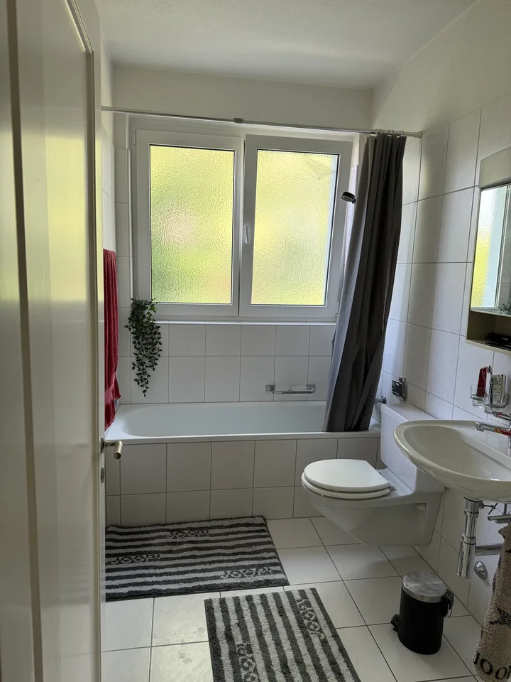 Wohnung in Witikon sucht Nachmieter