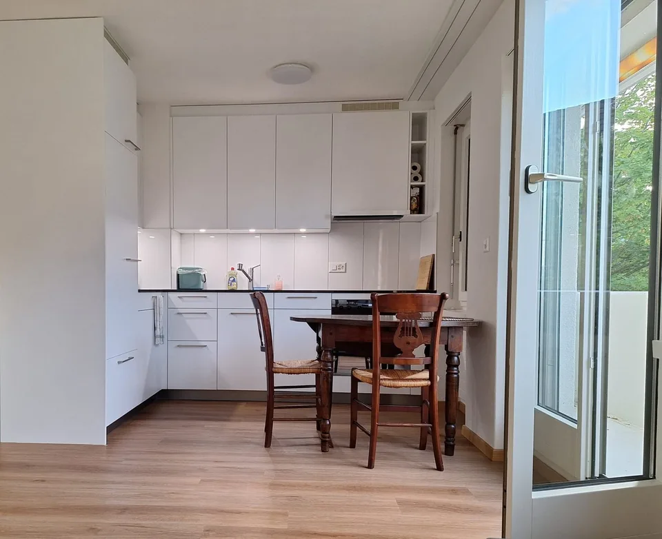 Bright Apartment with Balcony & Lake Zurich View