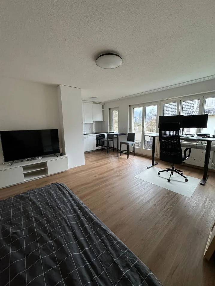 Bright Apartment with Balcony & Lake Zurich View