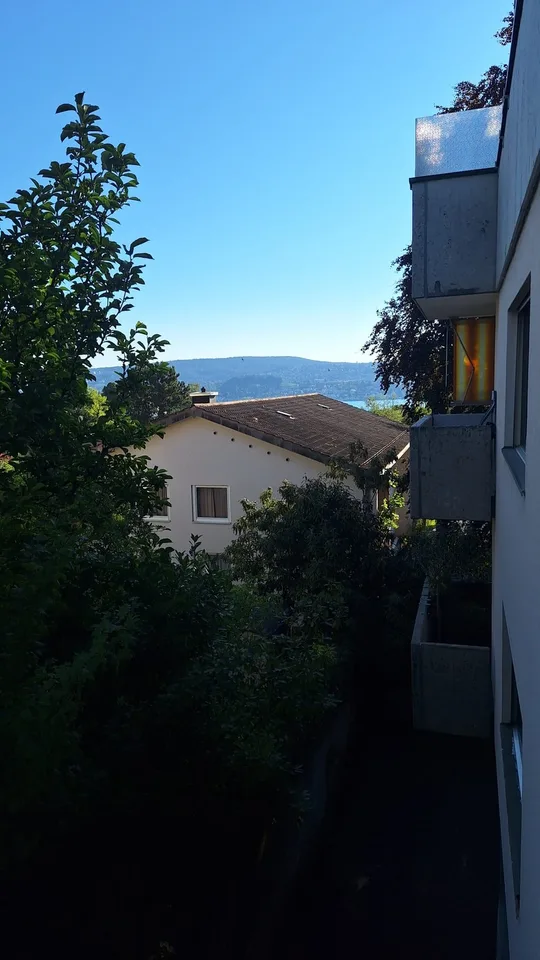 Bright Apartment with Balcony & Lake Zurich View