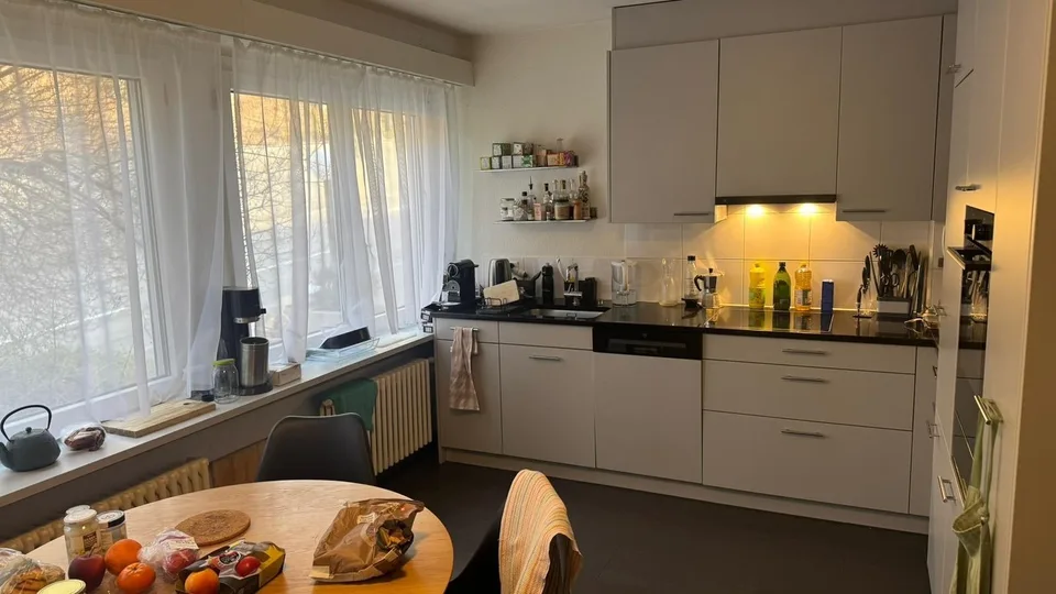 Spacious apartment 165m2 looking for roommate