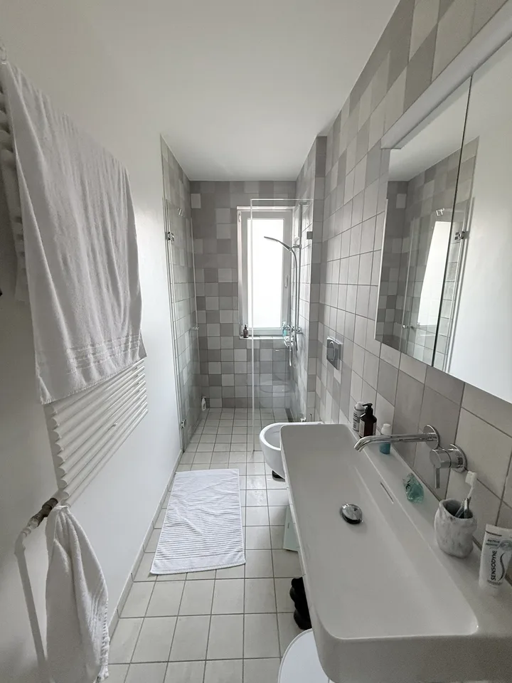 Flat in ZH