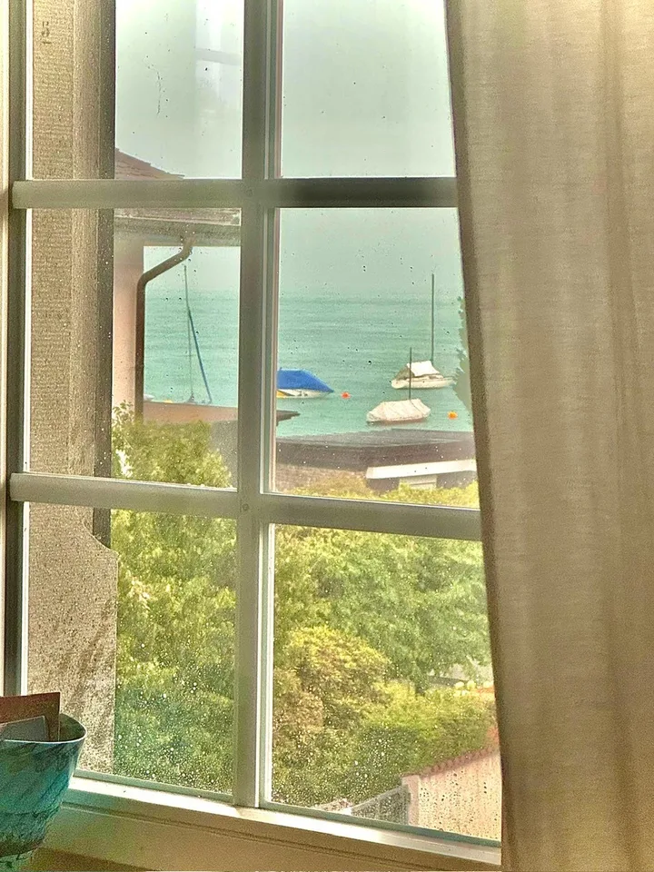Great room with a lake view, near public transportation shared Kitchen and Bath and terasse  you will love the place