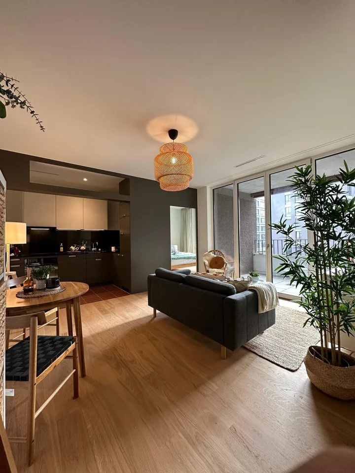 Private - Brand New 2.5 apt in Zurich Manegg start ASAP